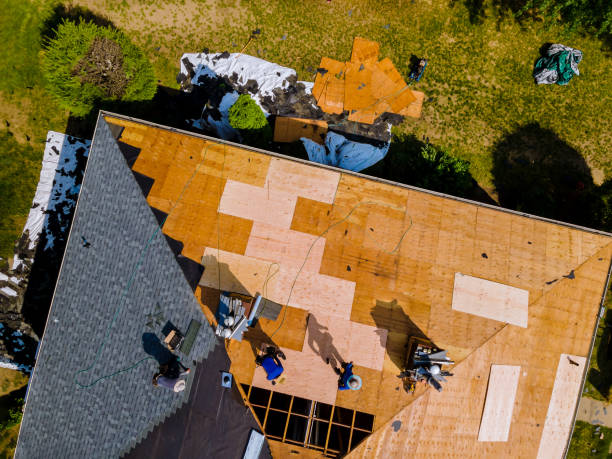 Best Roof Maintenance Services  in Beavercreek, OH